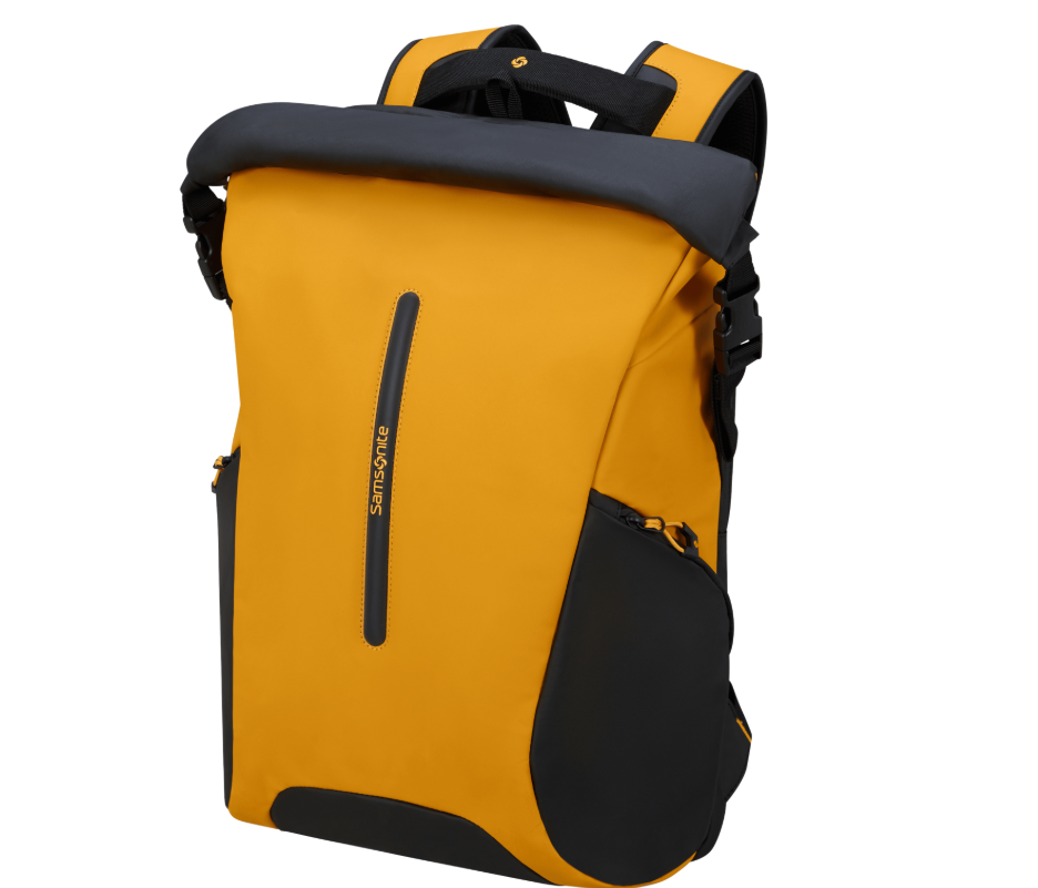 Samsonite Ecodiver Rucksack mit PC Fach 17,3"