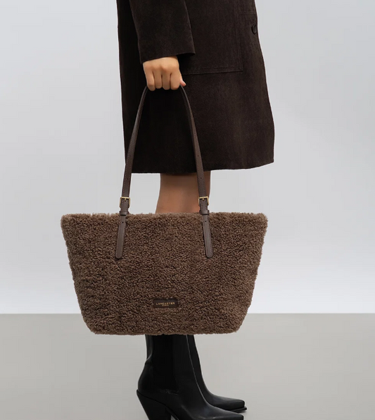 Lancaster teddy shopper